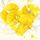 爱奇艺 长剧